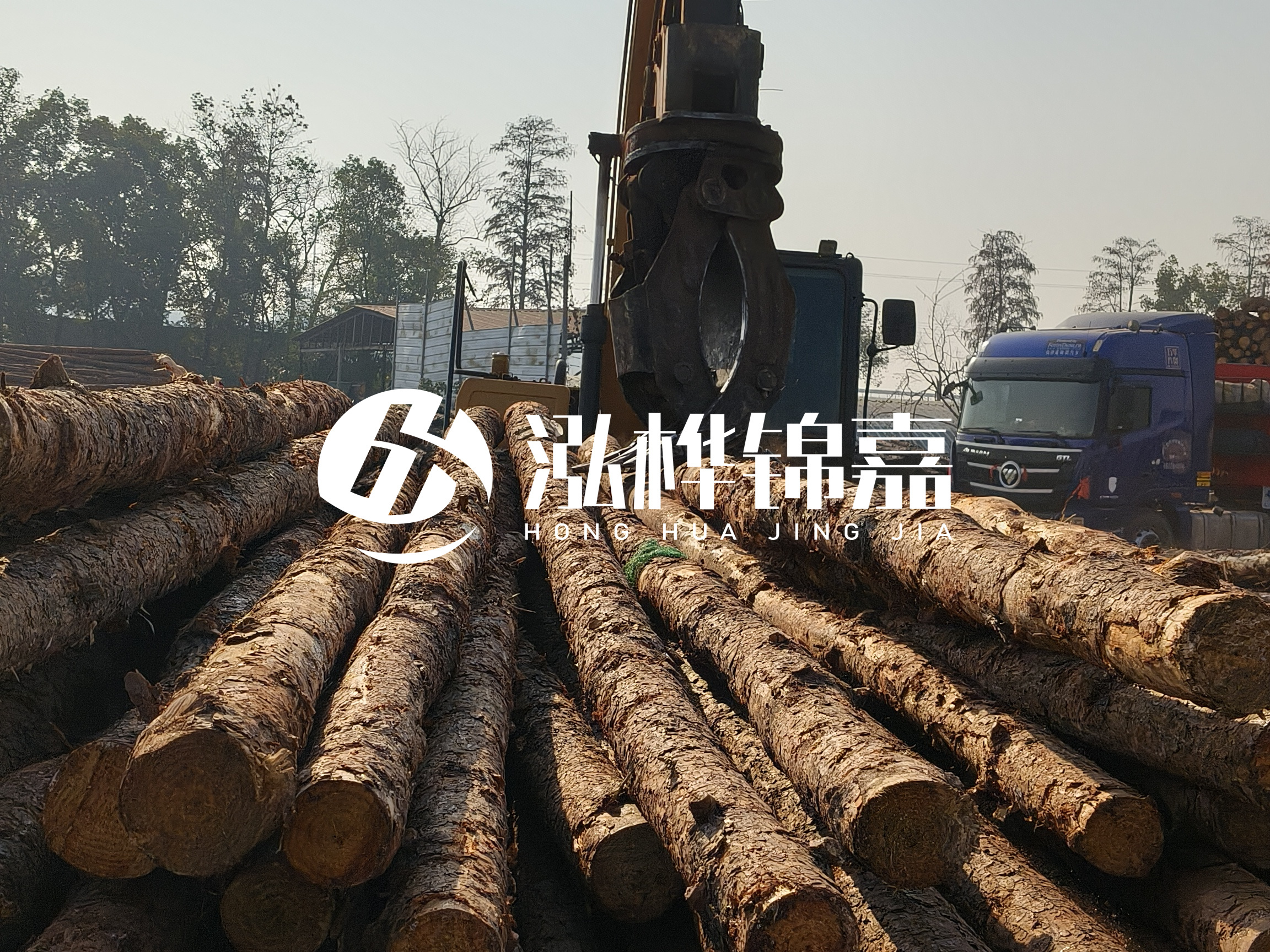 松木樁可以用來做什么？常用于哪些工程？