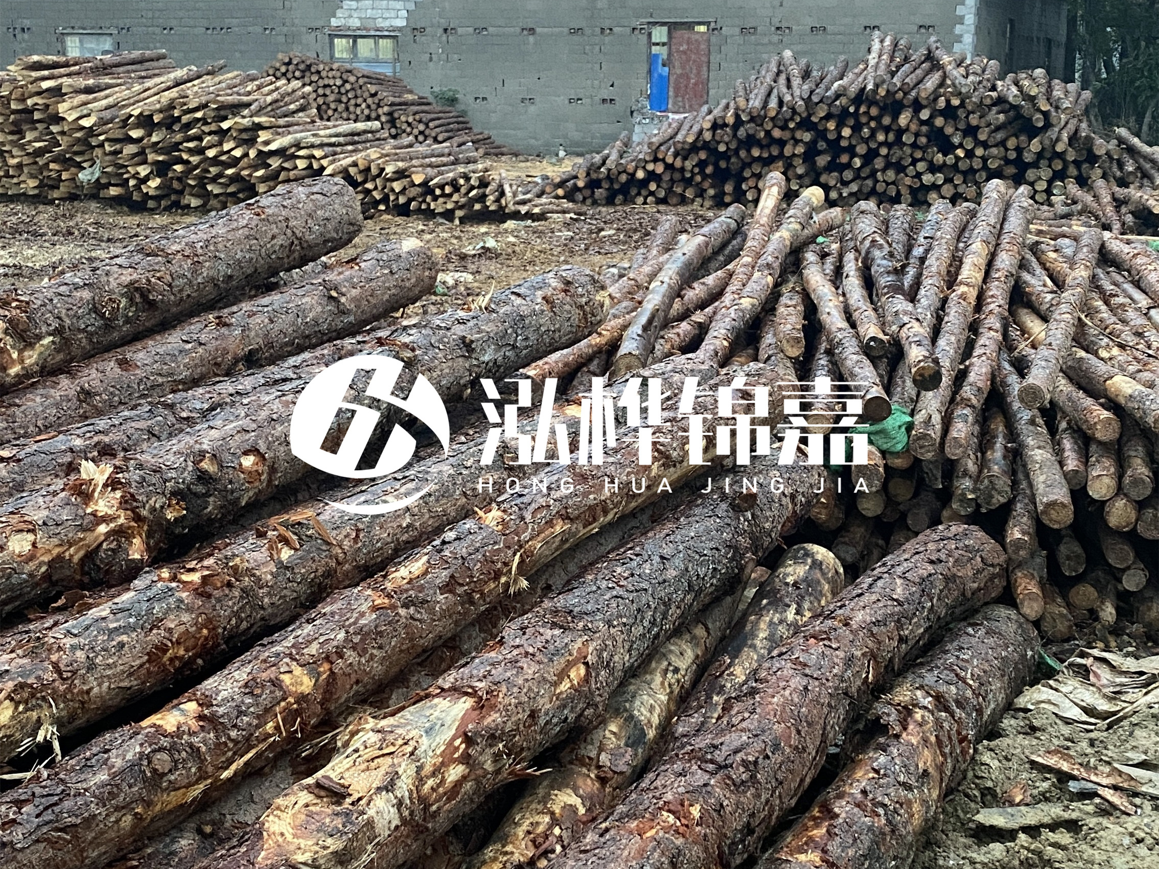 松木樁批發(fā)廠家泓樺錦嘉 - 河道松木樁如何選擇優(yōu)質(zhì)木材？