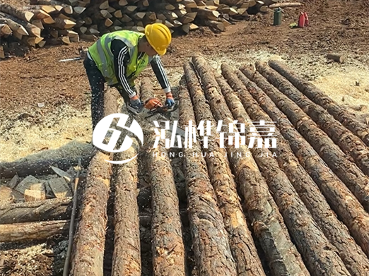 松木樁批發(fā)廠家泓樺錦嘉-河道打樁木施工中怎么防止樁頭被打壞？