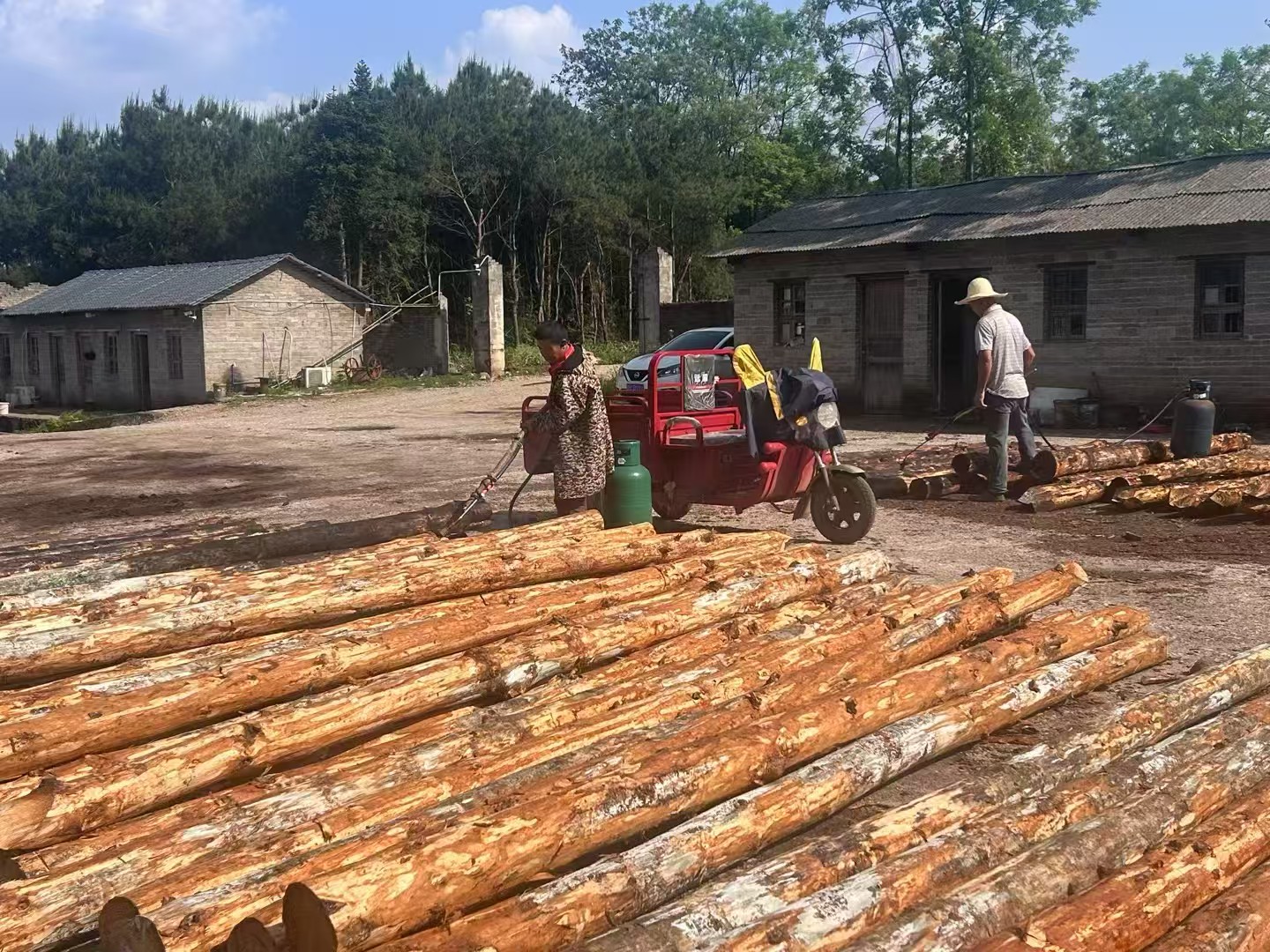 松木樁批發(fā)廠家泓樺錦嘉-圍堰松木樁為什么要交錯(cuò)排列？