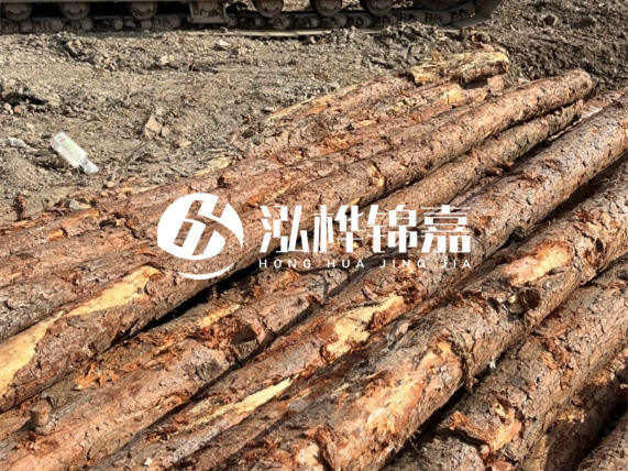 松木樁廠家泓樺錦嘉-原木松木樁的材質(zhì)是落葉松還是濕地松好？