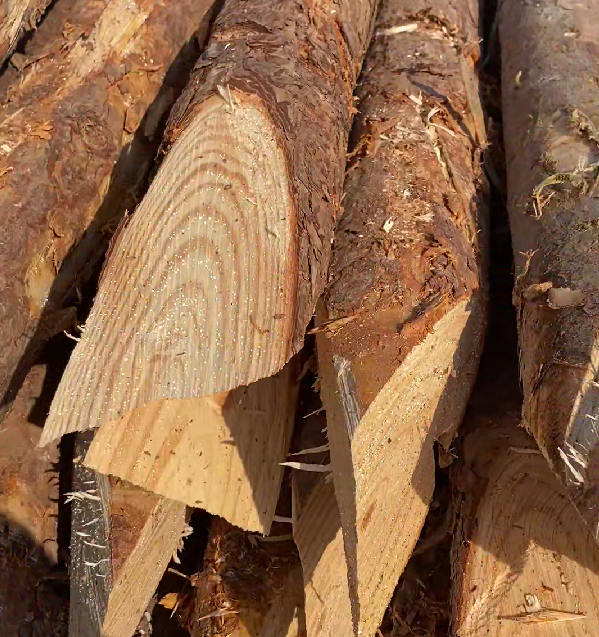 松木樁施工隊(duì)泓樺錦嘉 - 原木松木樁的最低起訂量是多少？