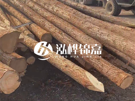 松木樁施工隊(duì)泓樺錦嘉 - 松木樁加固地基原理是什么？