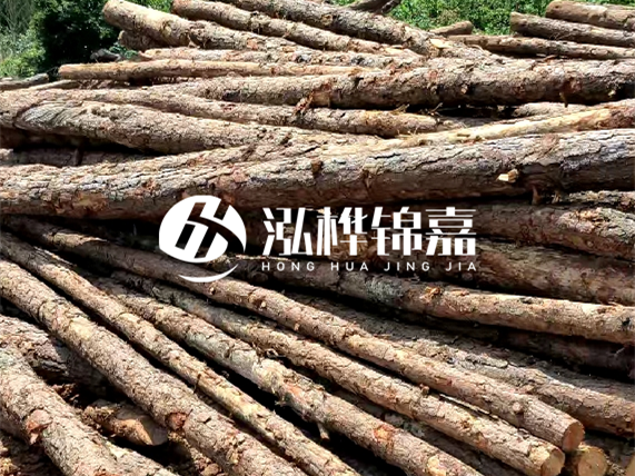 松木樁施工隊(duì)泓樺錦嘉 - 松木樁施工起什么效果？