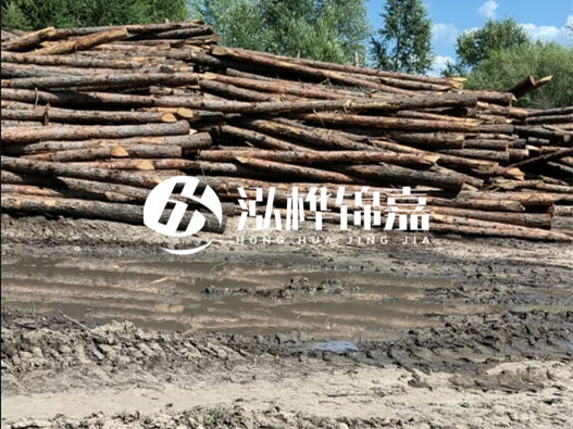 松木樁施工隊(duì)泓樺錦嘉 - 木頭打樁護(hù)岸能用多長時(shí)間？