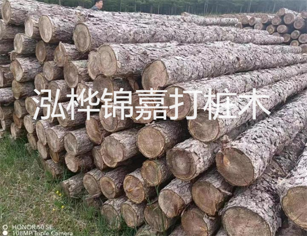 高效修補，保駕護航！水泥路面高強度修補料為您解決煩惱！