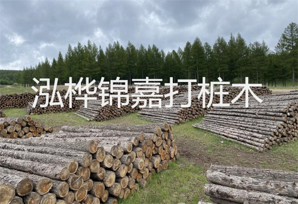 預(yù)制松木樁施工工藝：優(yōu)質(zhì)材料，高效快速，堅(jiān)固耐用