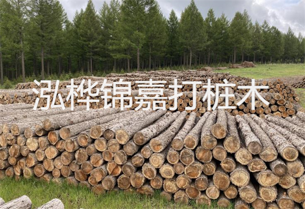 松木樁能施工嗎？探究視頻揭秘真相！