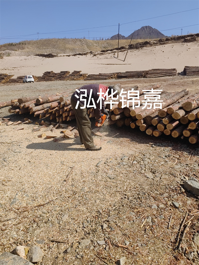 松木樁駁岸施工，打造水上風(fēng)景線