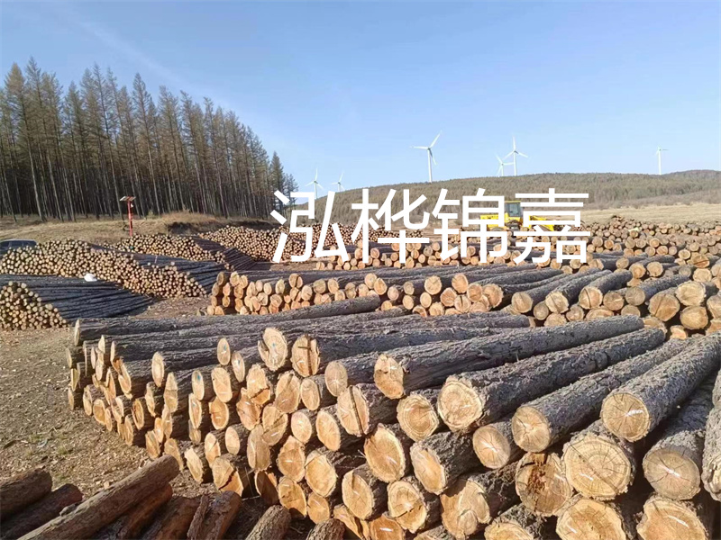 用路基松木樁施工方案提升工程質(zhì)量描述：了解路基松木樁施工方案的重要性，提高工程質(zhì)量關(guān)鍵詞：路基松木樁，施工方案，工程質(zhì)量