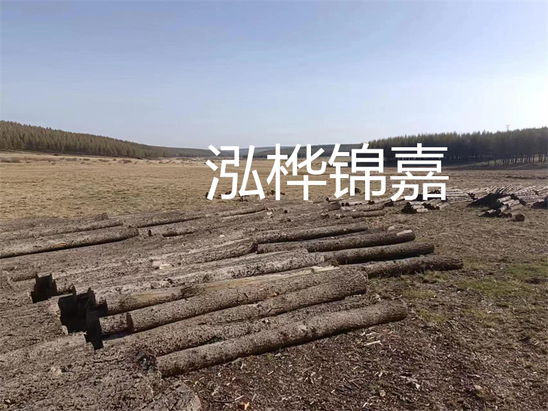 鄂州松木樁哪里好？推薦泓樺錦嘉松木樁業(yè)！